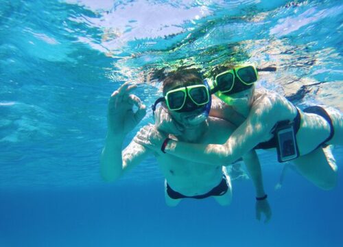 4-hour Speed Boat With Dolphins